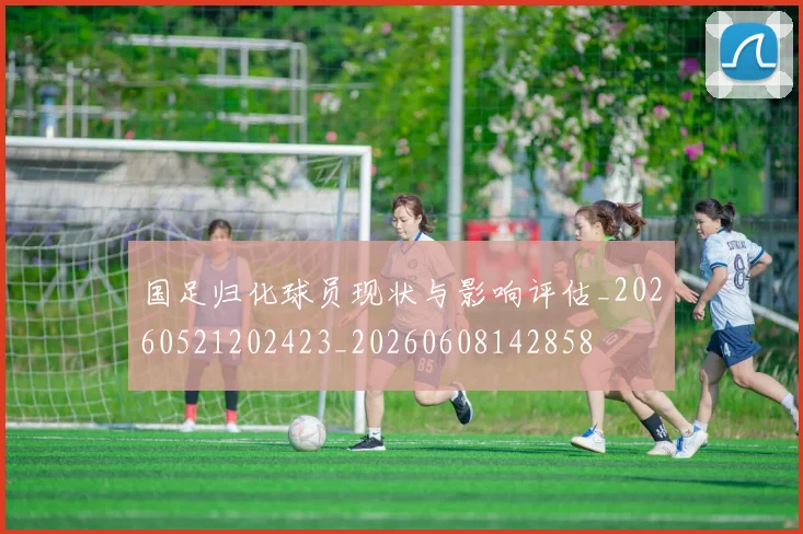 国足归化球员现状与影响评估_20260521202423_20260608142858